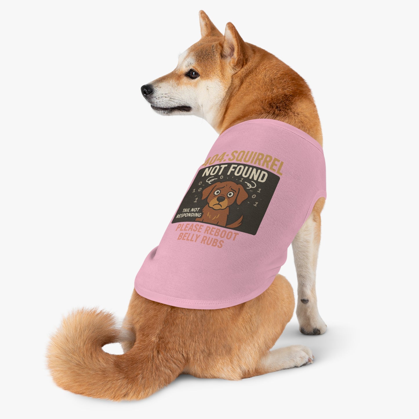 404: SquirrelNotFound.exe / Petwear