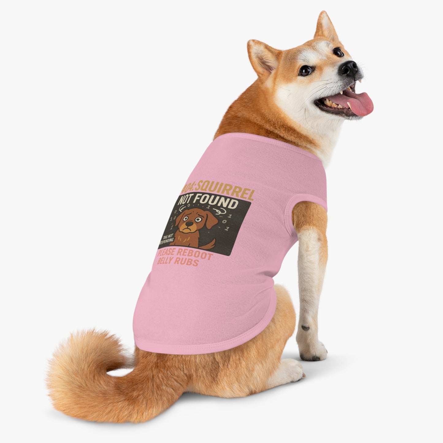 404: SquirrelNotFound.exe / Petwear