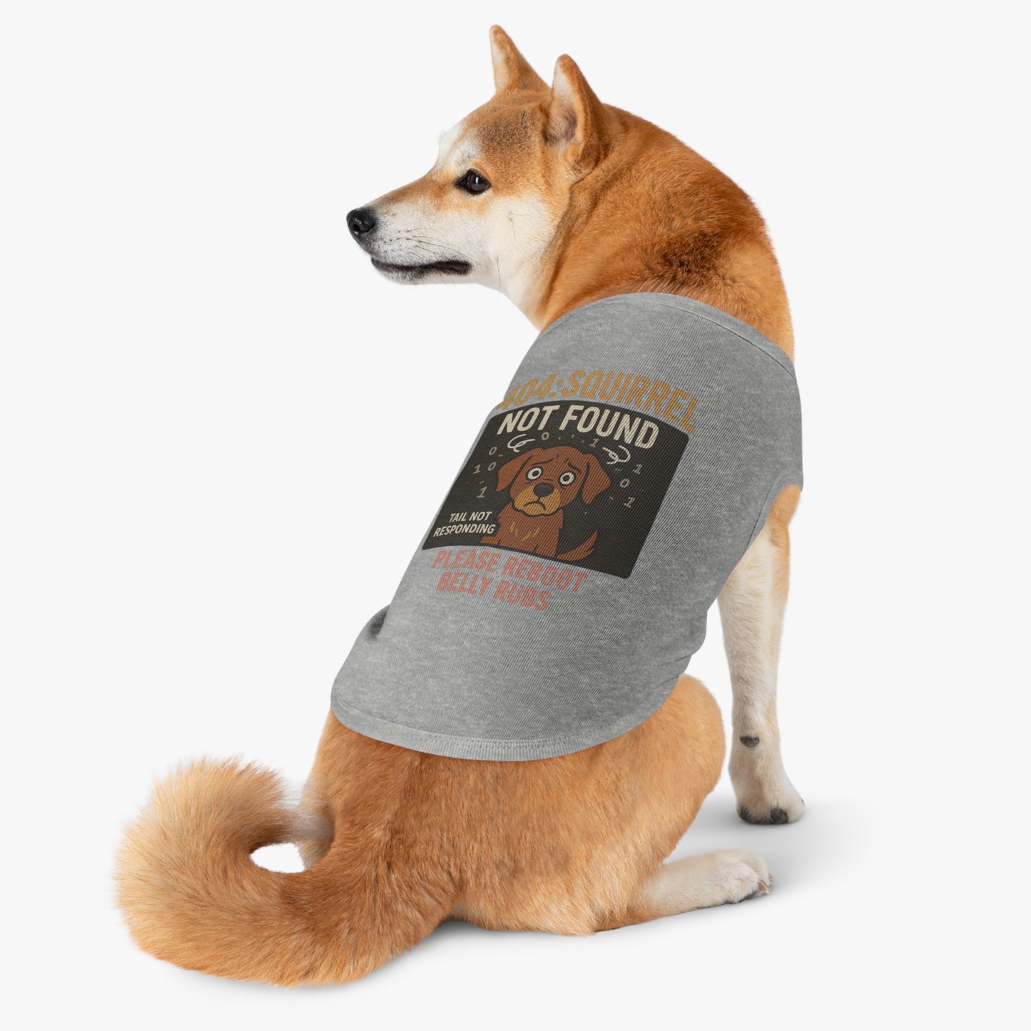 404: SquirrelNotFound.exe / Petwear
