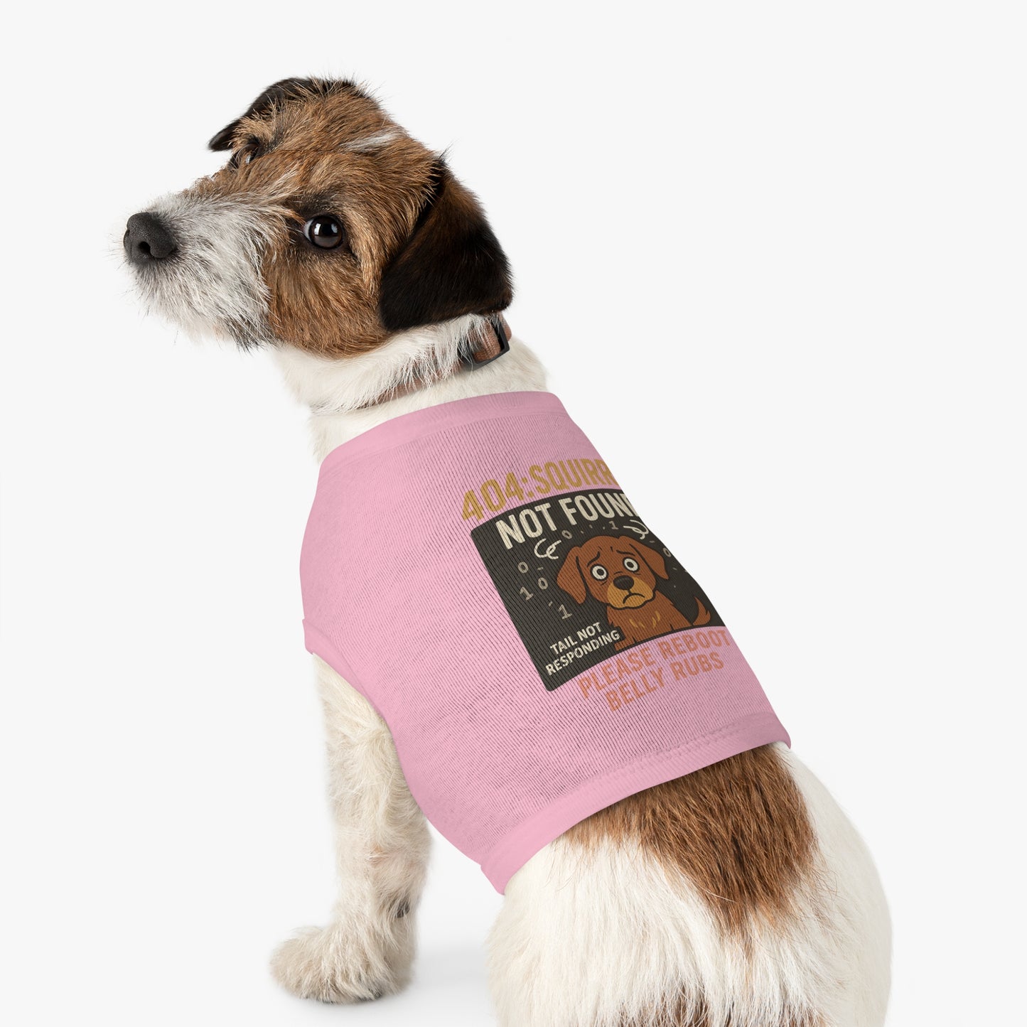 404: SquirrelNotFound.exe / Petwear